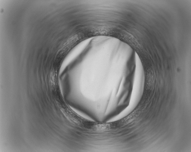 X0000059090126200510281758