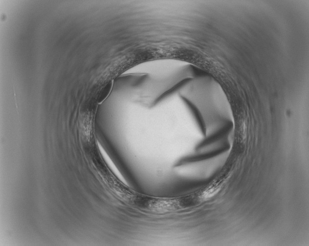 X0000059090129200510281758