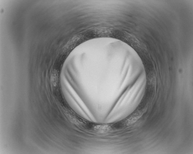 X0000059090133200510281758