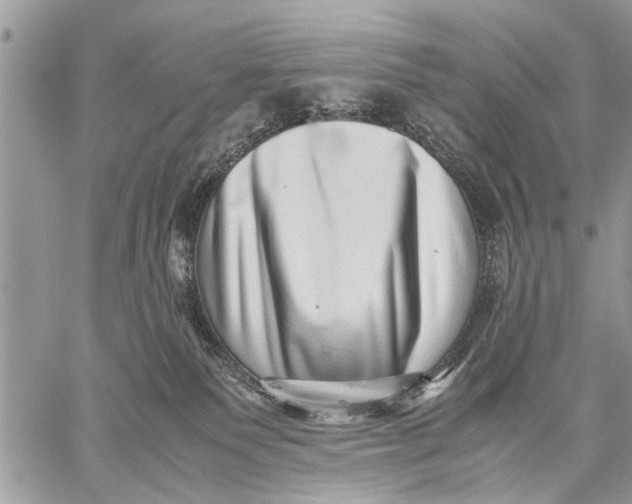 X0000059090135200510281758