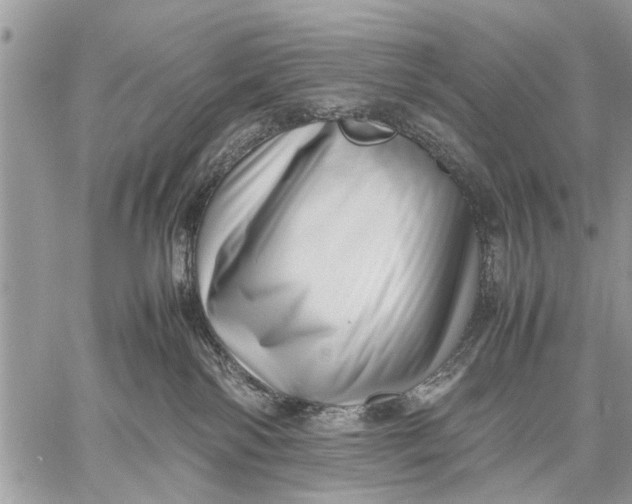 X0000059090138200510281758