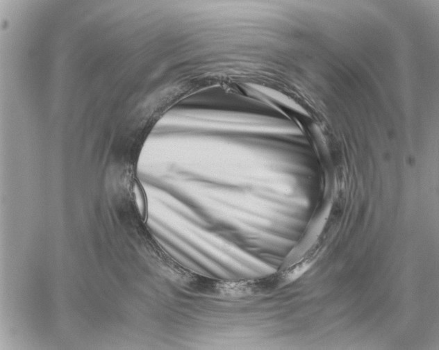 X0000059090141200510281758