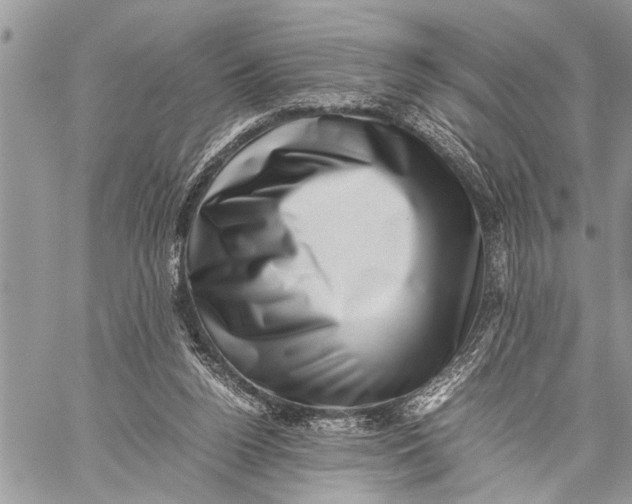 X0000059090160200510281758