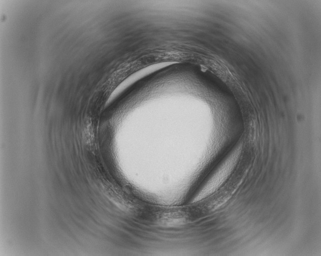 X0000059090173200510281758