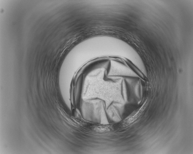 X0000059090175200510281758