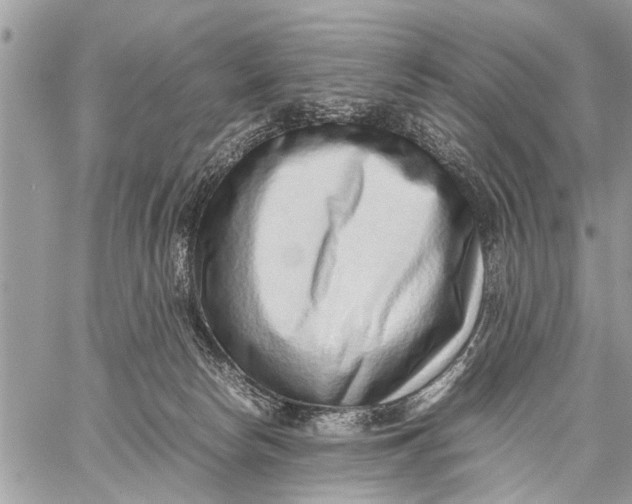X0000059090178200510281758