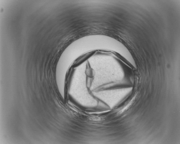 X0000059090187200510281758