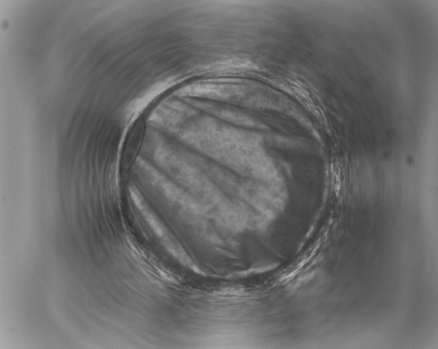 X0000059090196200510281757
