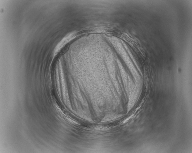 X0000059090198200510281757