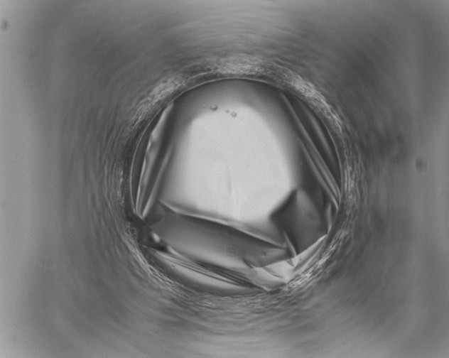 X0000059090201200510281757