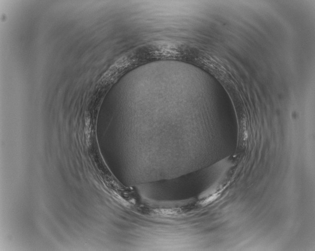 X0000059090223200510281757