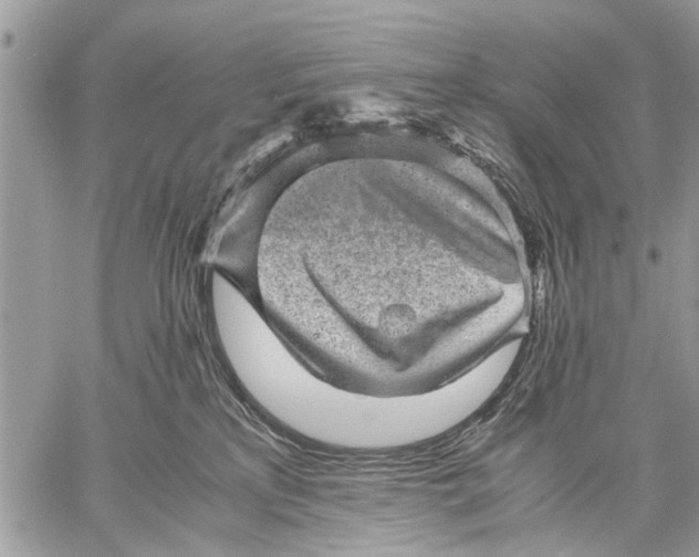 X0000059090233200510281757