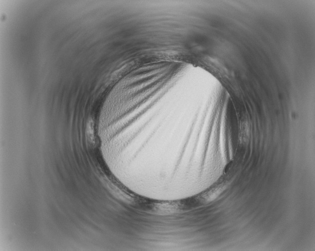 X0000059090238200510281757