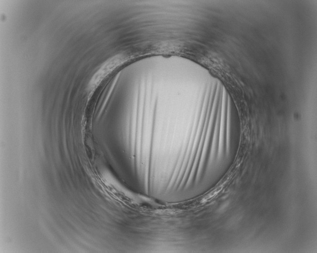 X0000059090242200510281756