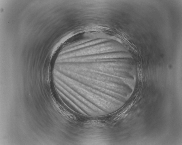 X0000059090244200510281756