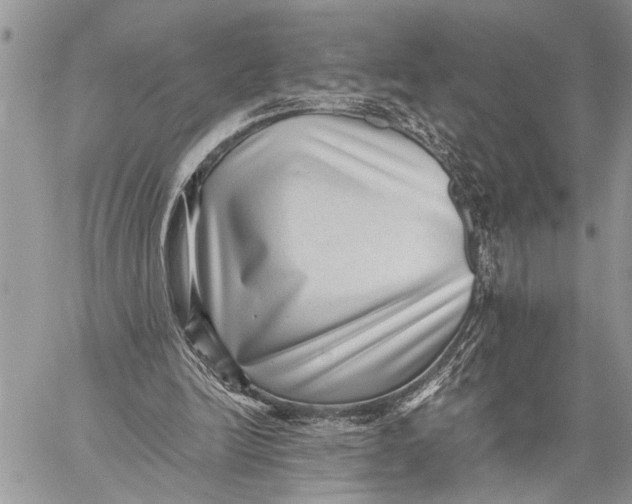 X0000059090246200510281756