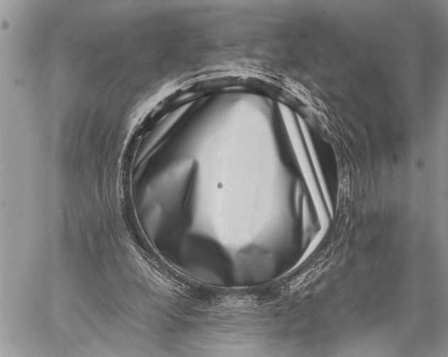 X0000059090248200510281756