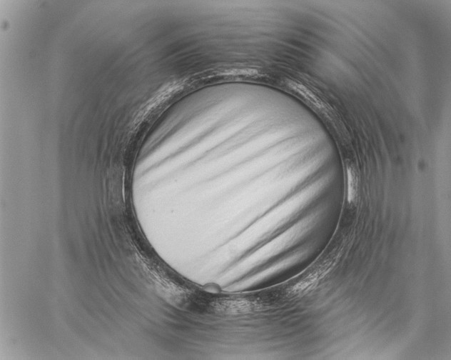 X0000059090253200510281756