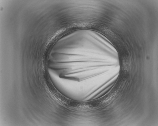X0000059090256200510281756