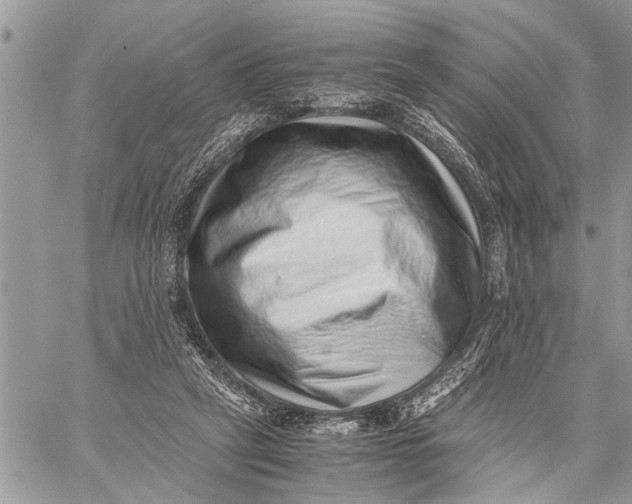 X0000059090257200510281756