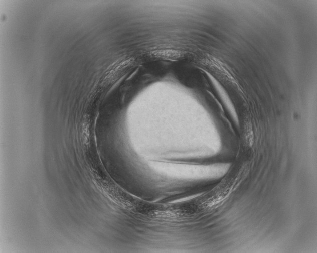 X0000059090259200510281756