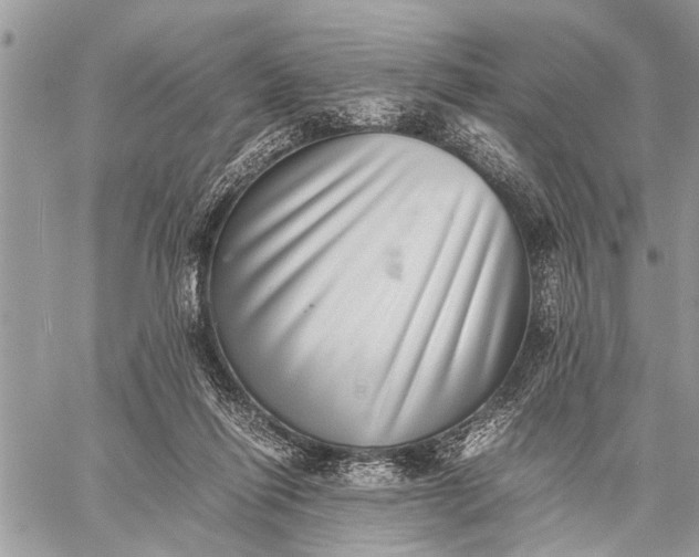 X0000059090262200510281756
