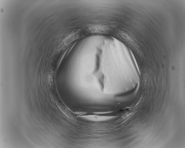 X0000059090265200510281756