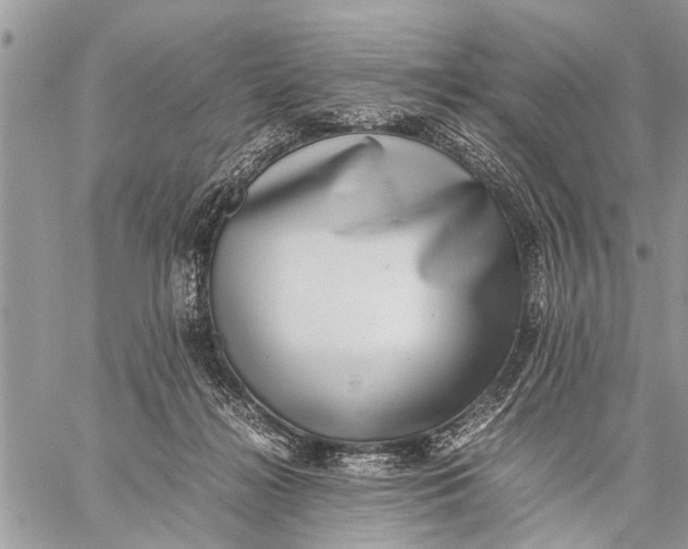 X0000059090268200510281756