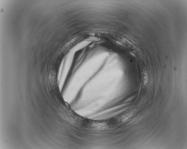 X0000059090283200510281756