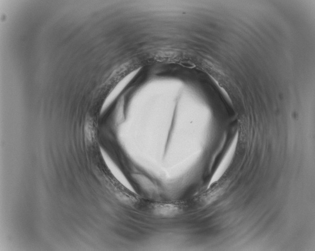X0000059090287200510281757