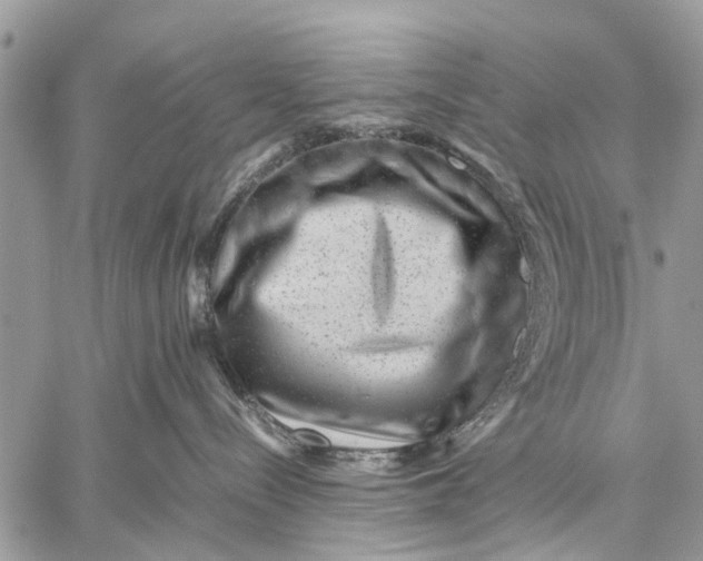 X0000059090288200510281757