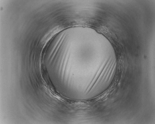 X0000059090290200510281756