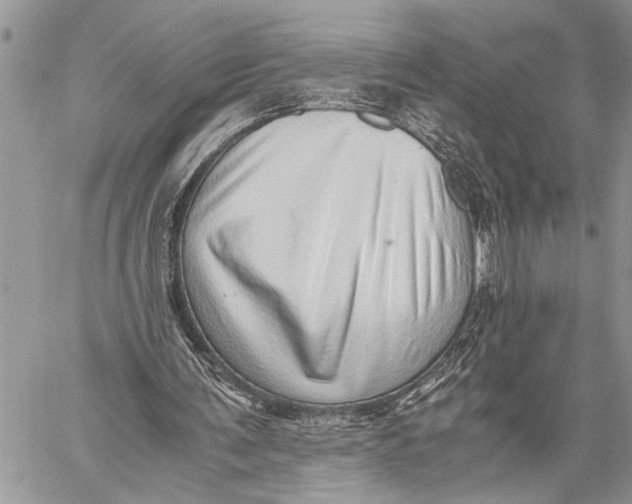X0000059090291200510281756