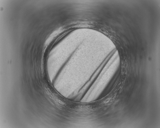 X0000059090296200510281756