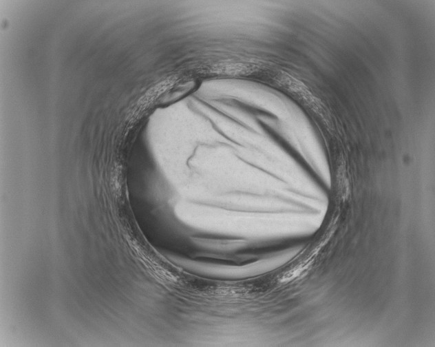 X0000059090305200510281755