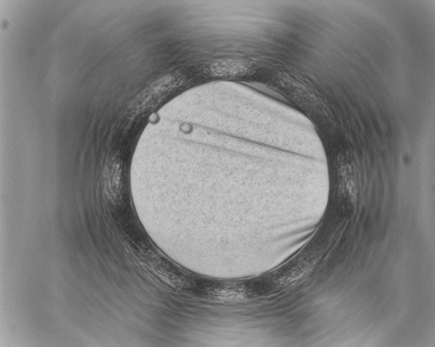 X0000059090308200510281755
