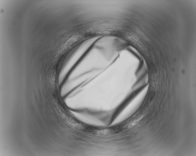 X0000059090309200510281755
