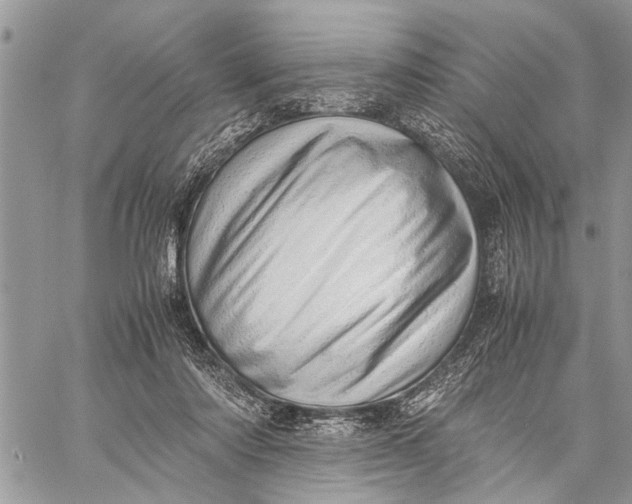 X0000059090310200510281755