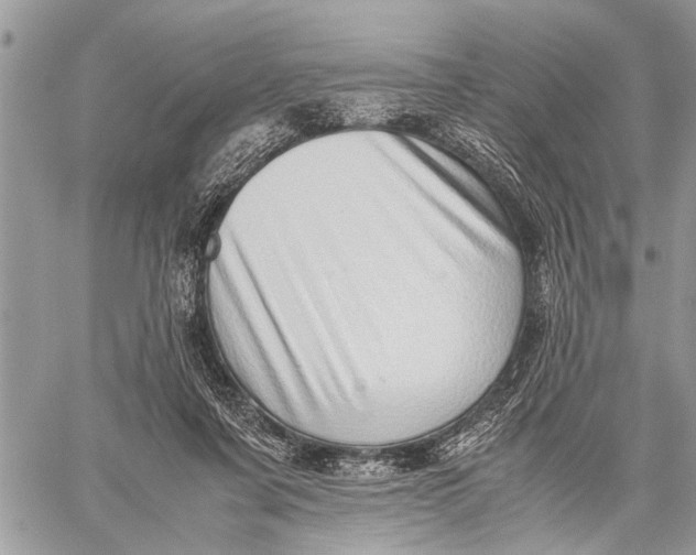 X0000059090311200510281755