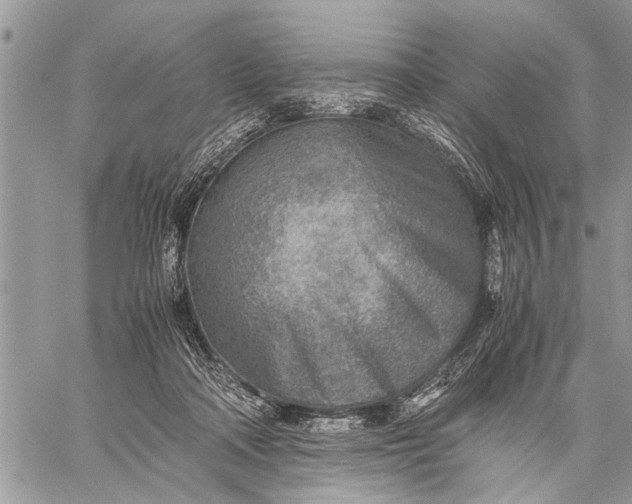 X0000059090314200510281755