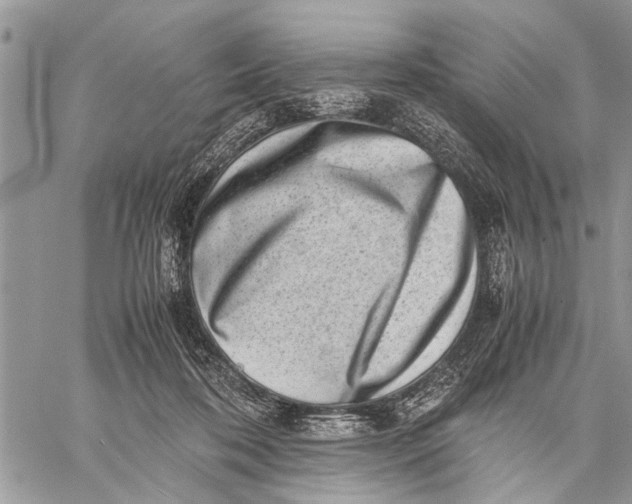 X0000059090316200510281755
