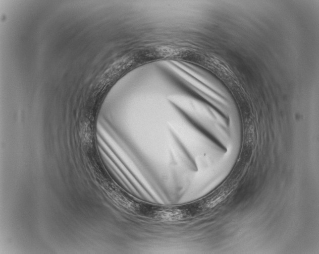 X0000059090317200510281755
