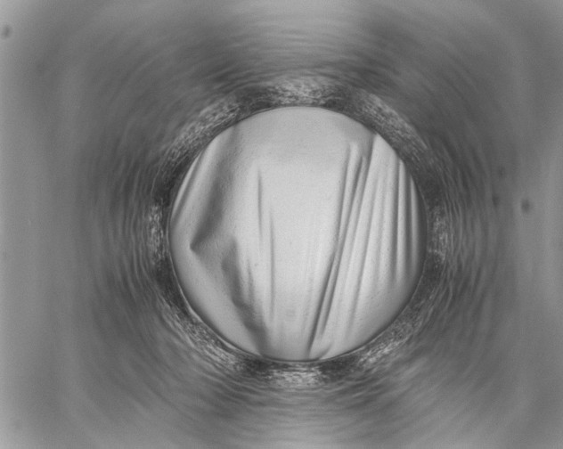 X0000059090318200510281755