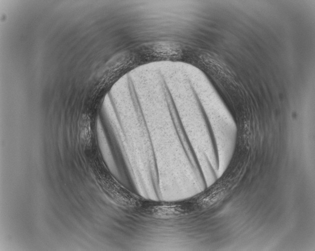 X0000059090320200510281755