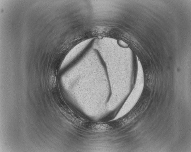 X0000059090324200510281755