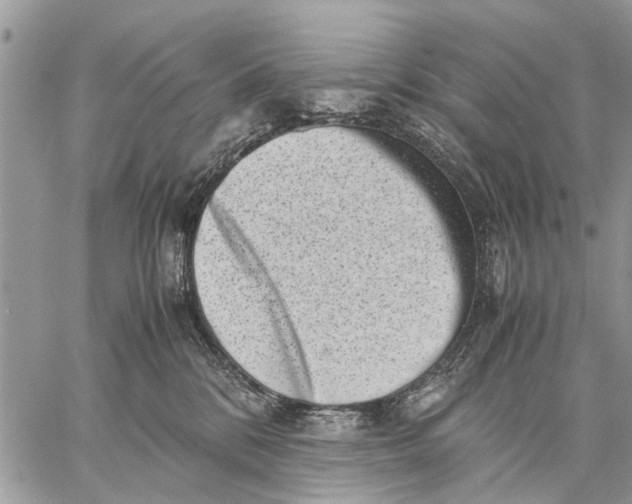 X0000059090328200510281755