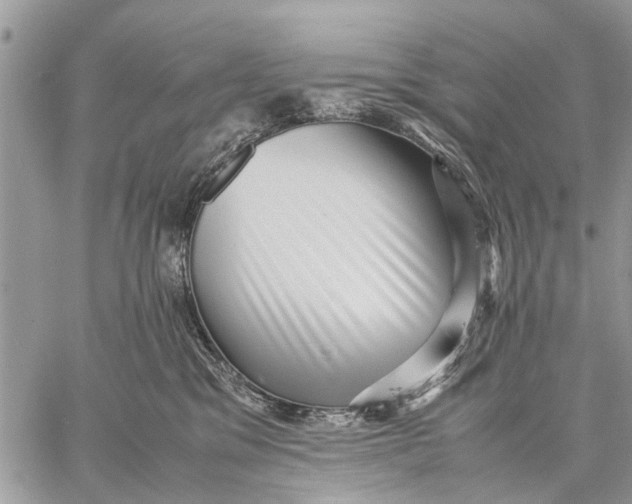 X0000059090329200510281755