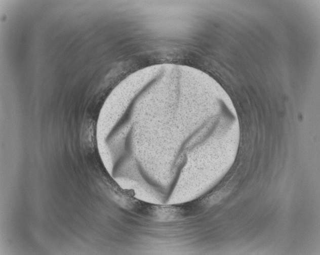 X0000059090336200510281755