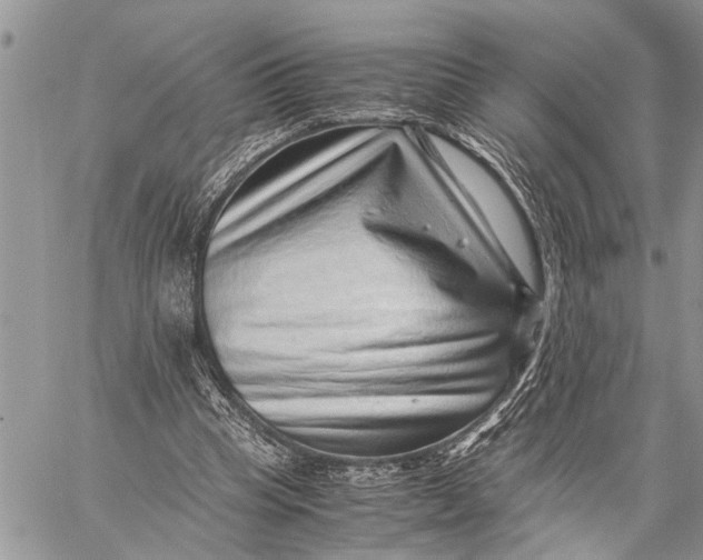 X0000059090345200510281754