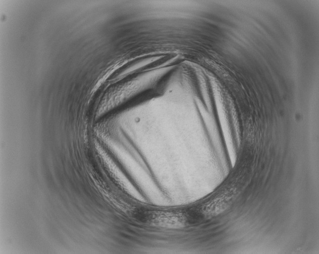 X0000059090347200510281754